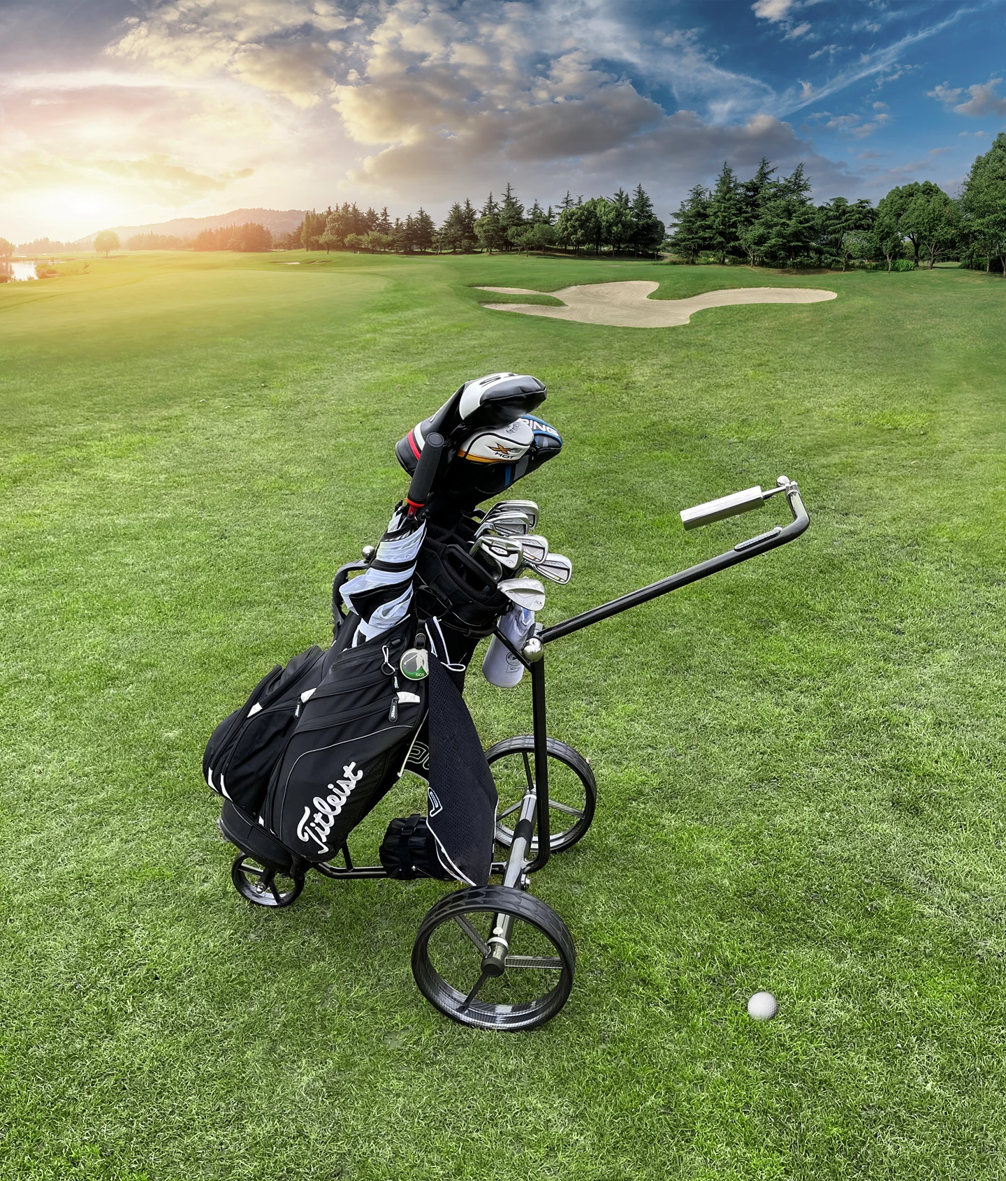 Chariot de golf électrique Carbon