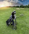 Chariot de golf électrique Carbon