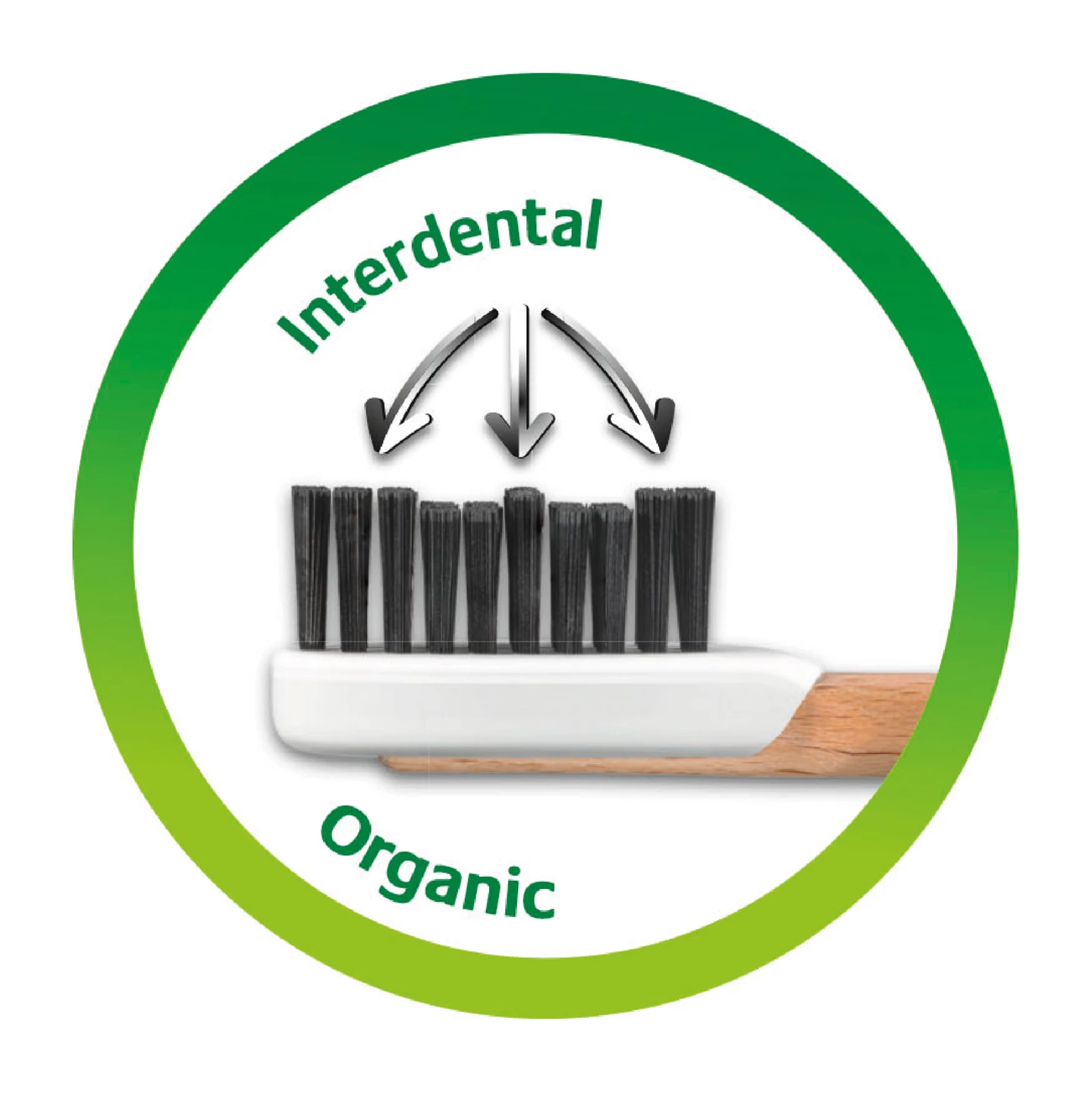 Spazzolino da denti Natural Clean medium