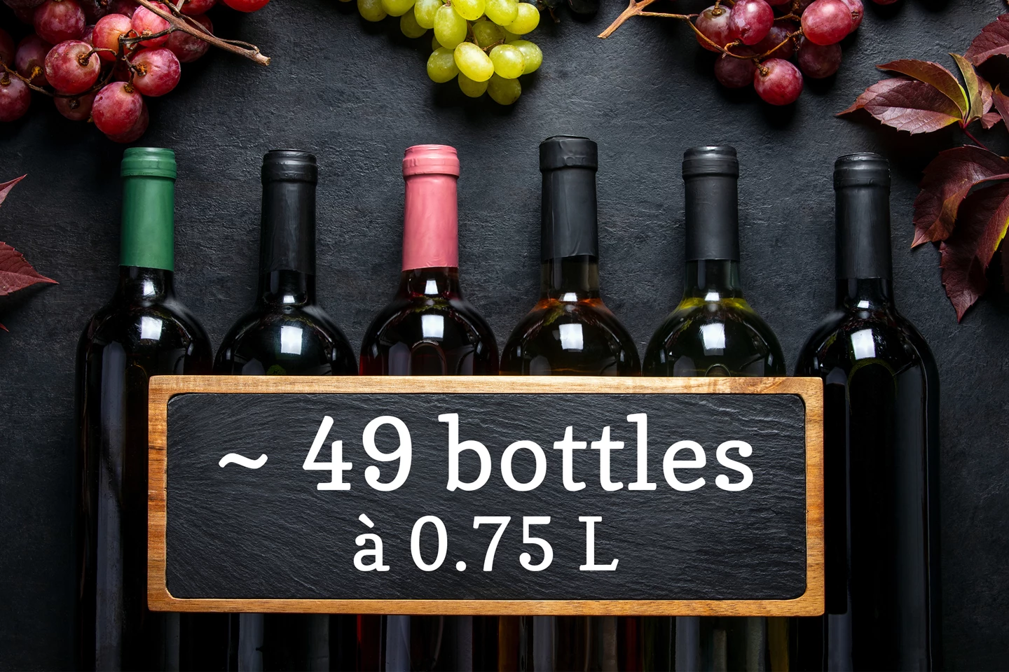 Wine climate cabinet 118 L