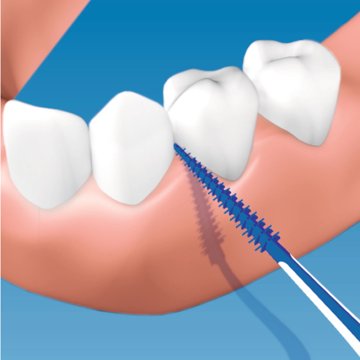 Zahnseide-Sticks Space Brush