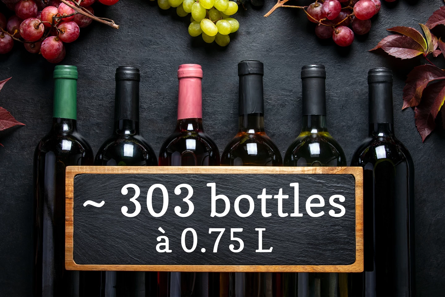 Cave à vin climatisée 642L