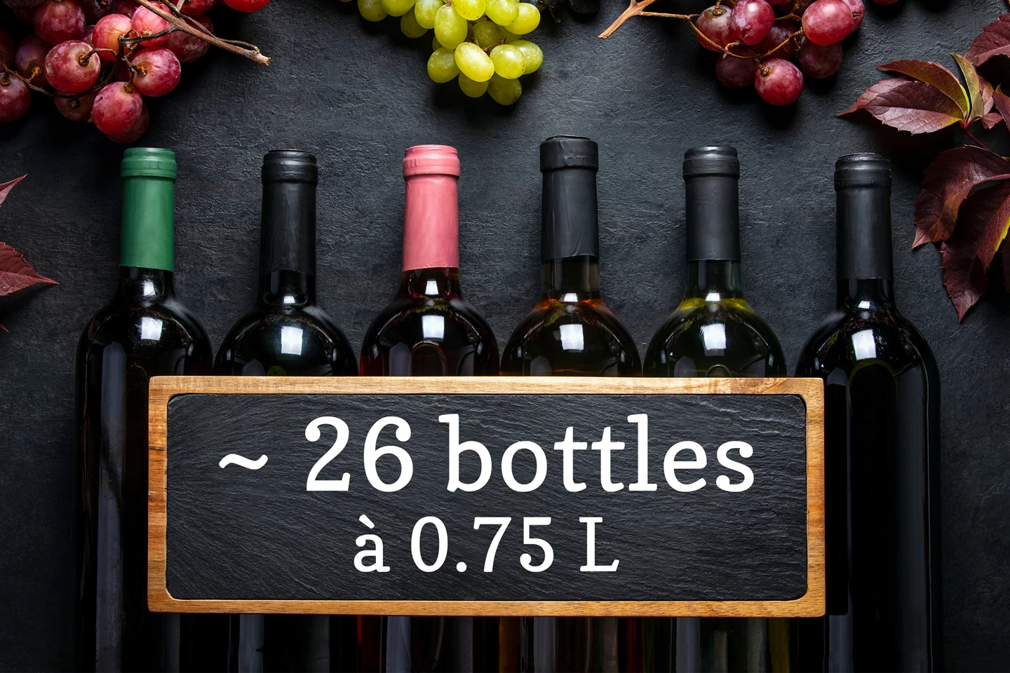 Cave à vin climatisée intégrée 69 L, dual zone