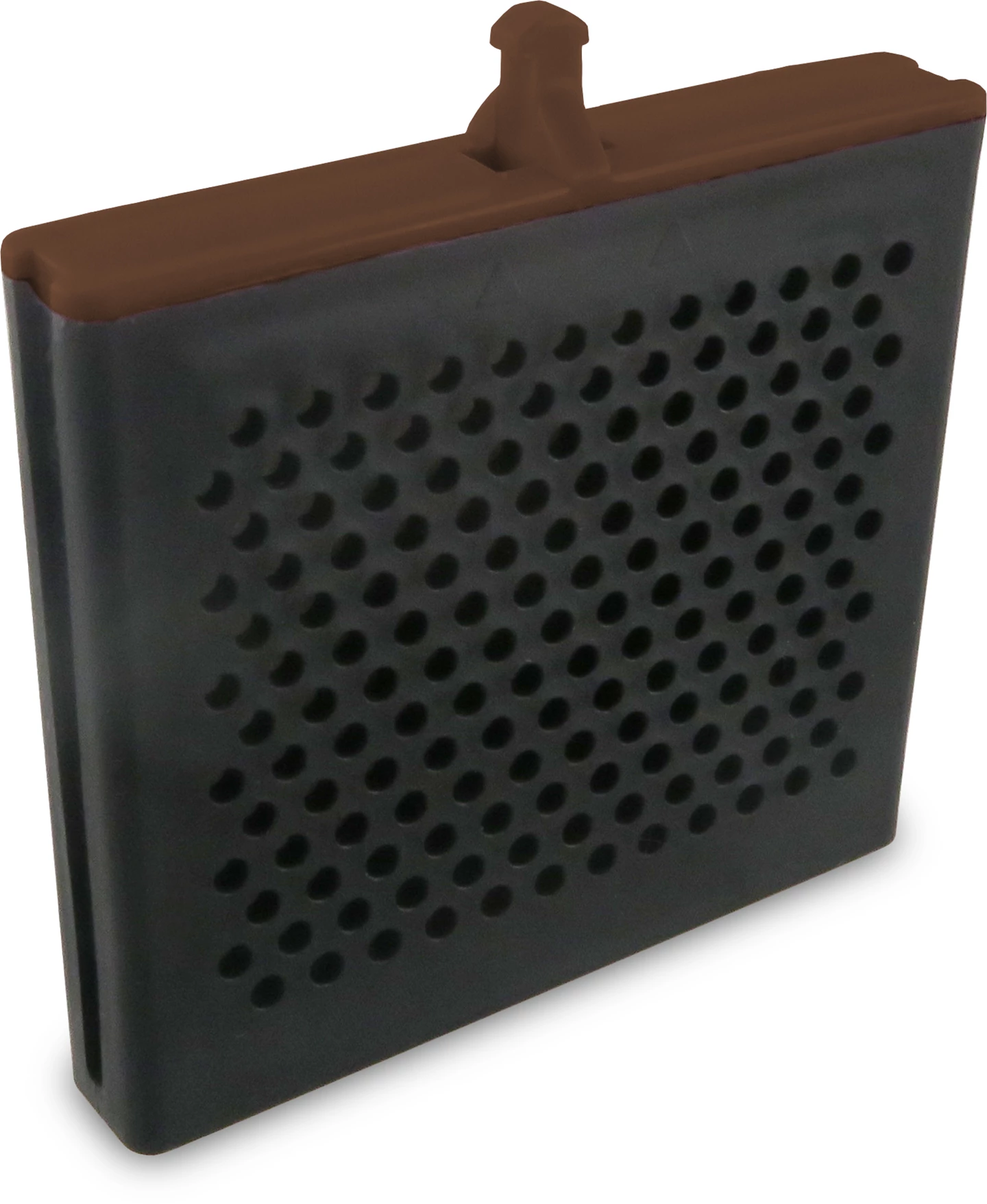 Capsula Oriental Trends