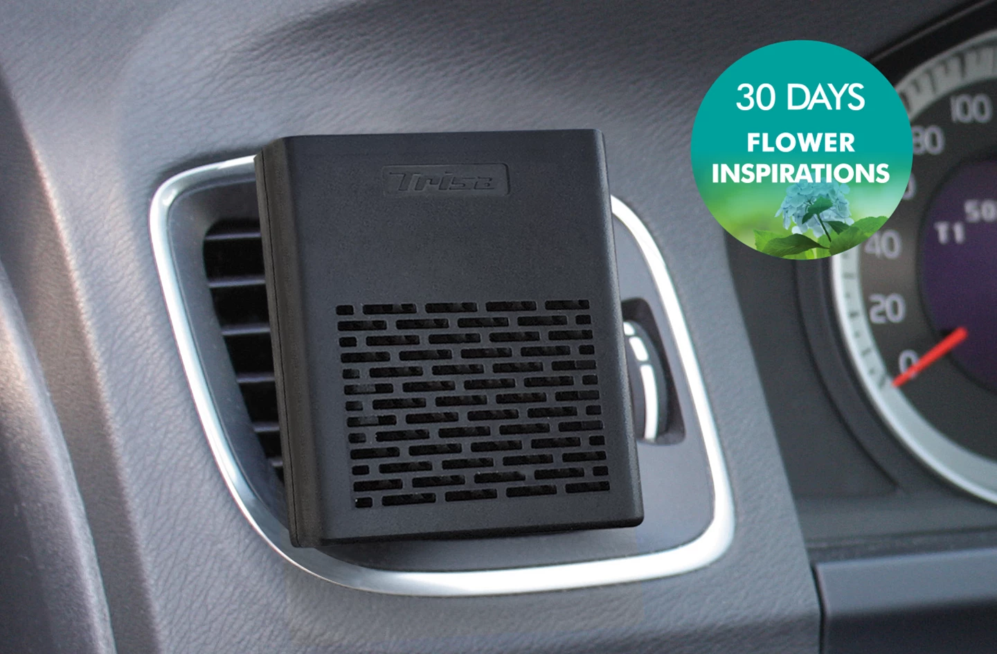 Pure Car Flower Inspiration