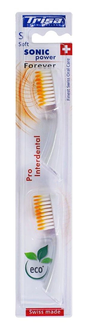 Brosse de remplacement 