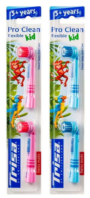 Brosse de remplacement 