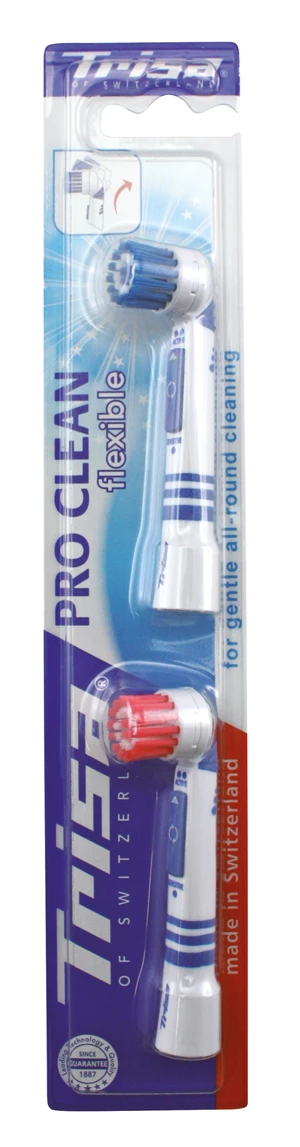 Brosse de remplacement 