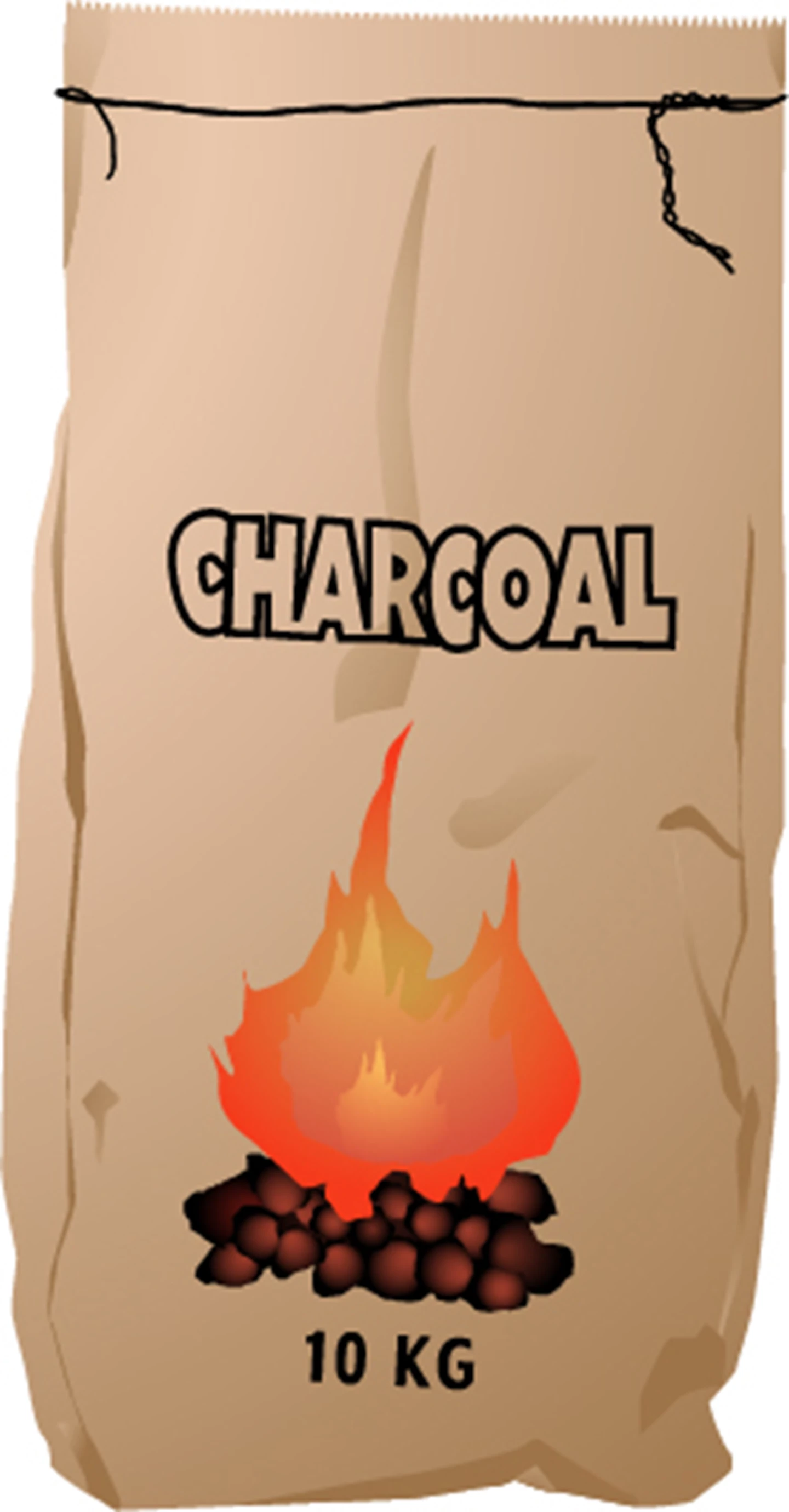 Grill électrique BBQ Star 2 en 1