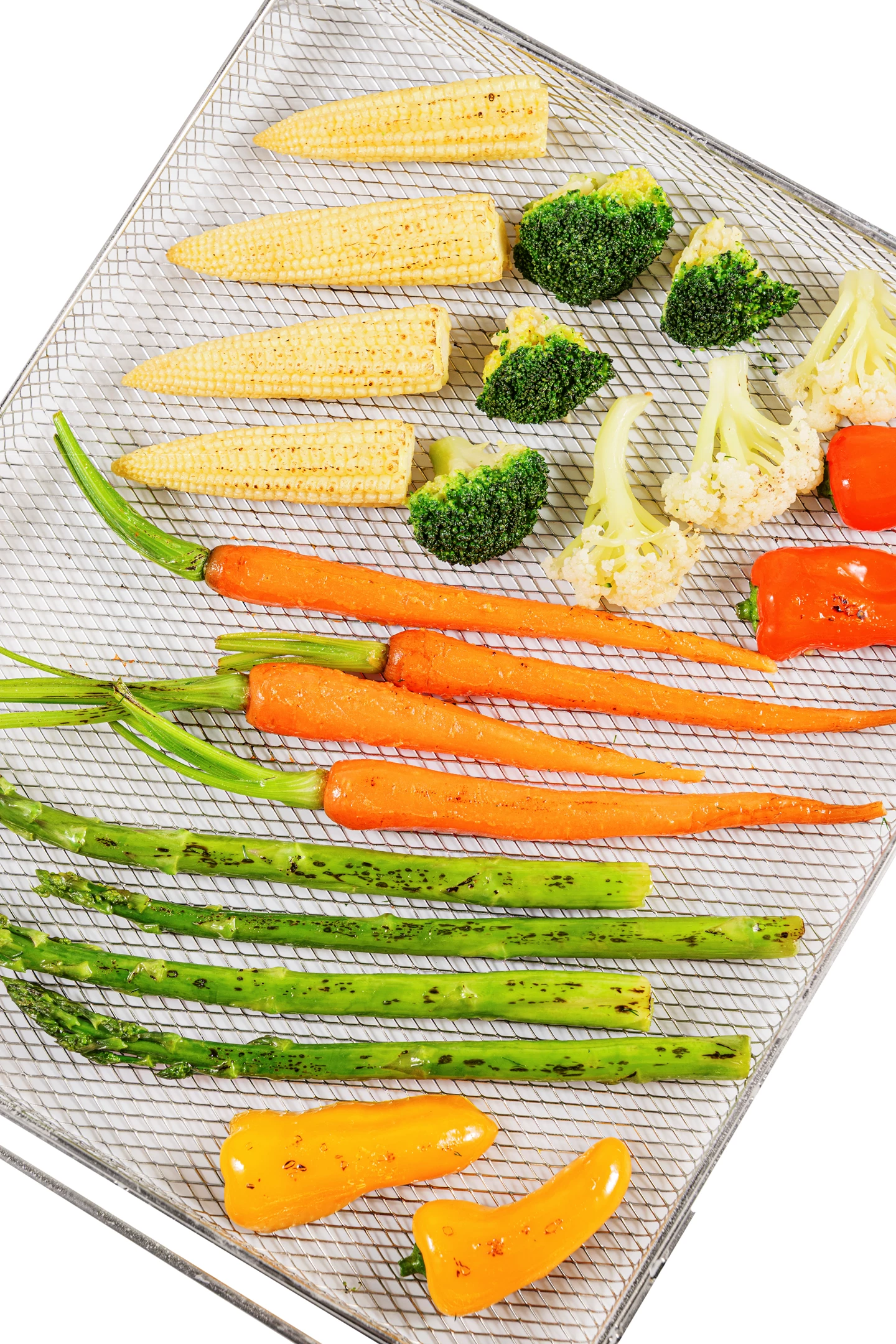 Steamer Air Fusion Pro 24 L