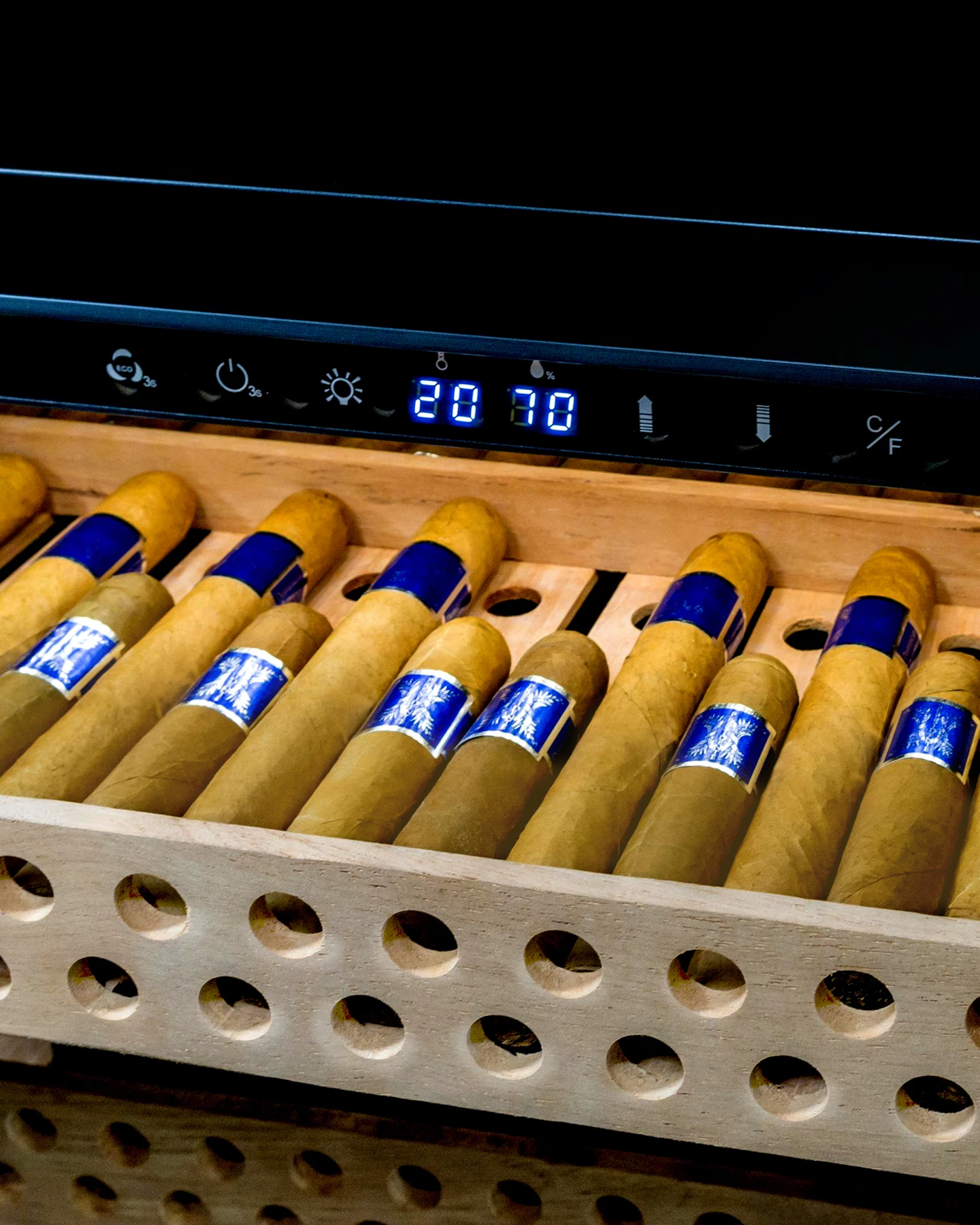 Humidor 127L
