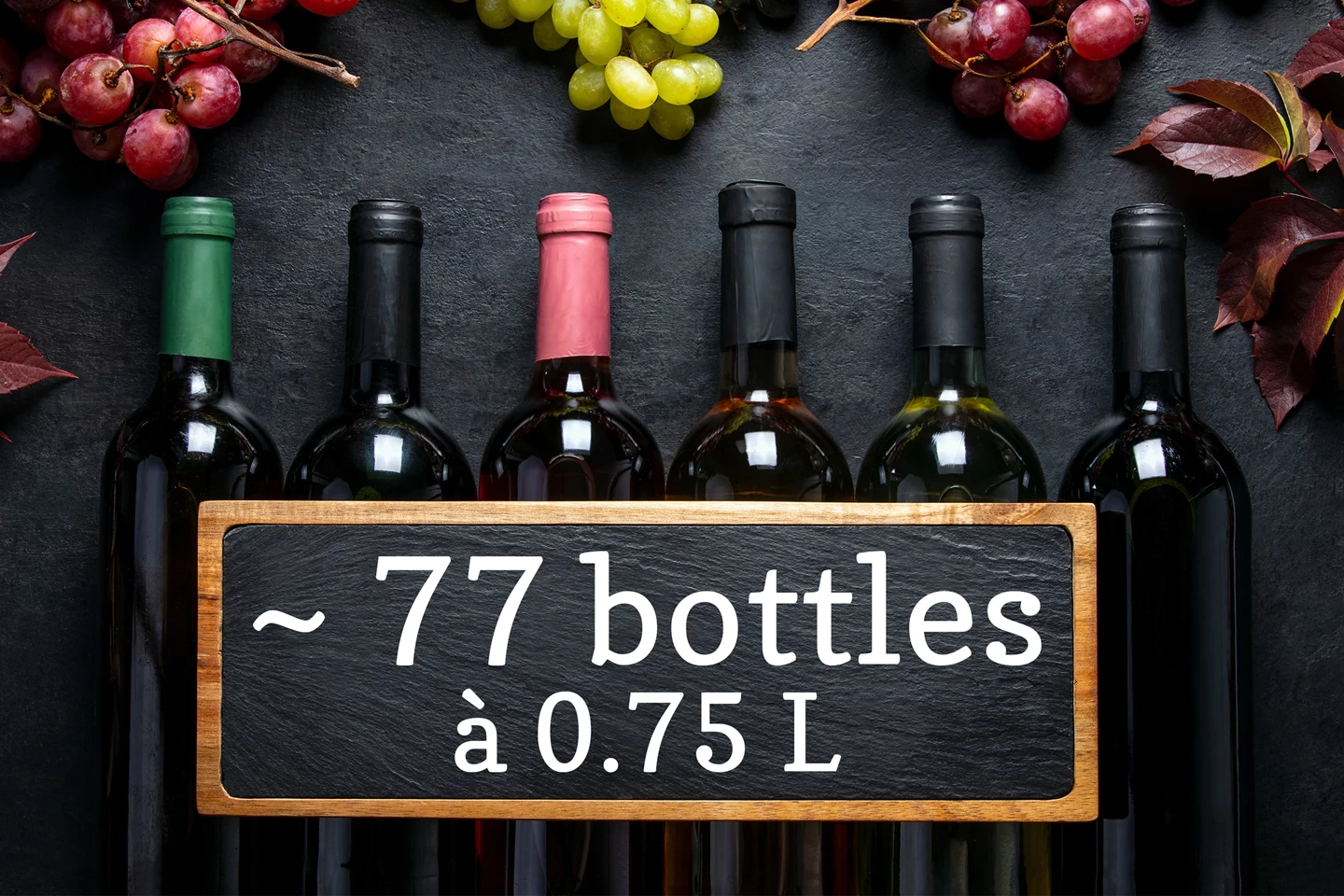 Cantina climatizzata per vino 191 L, dual zone