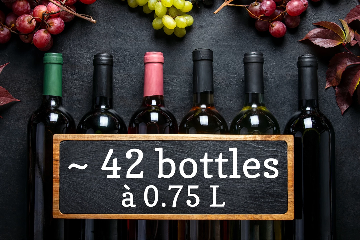 Cantina climat. per vino da incasso 100 L, dual