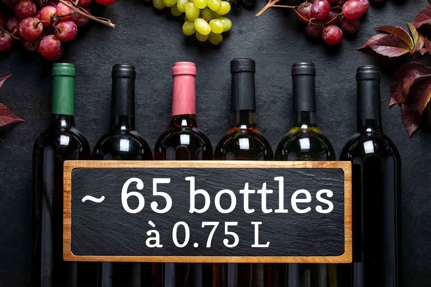 Cantina climat. per vino da incasso 149 L, dual